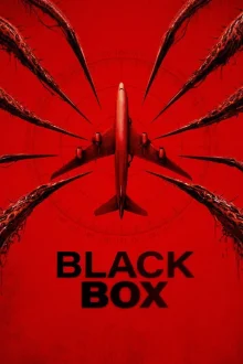 Black Box poster