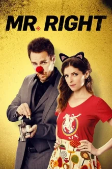 Mr Right poster